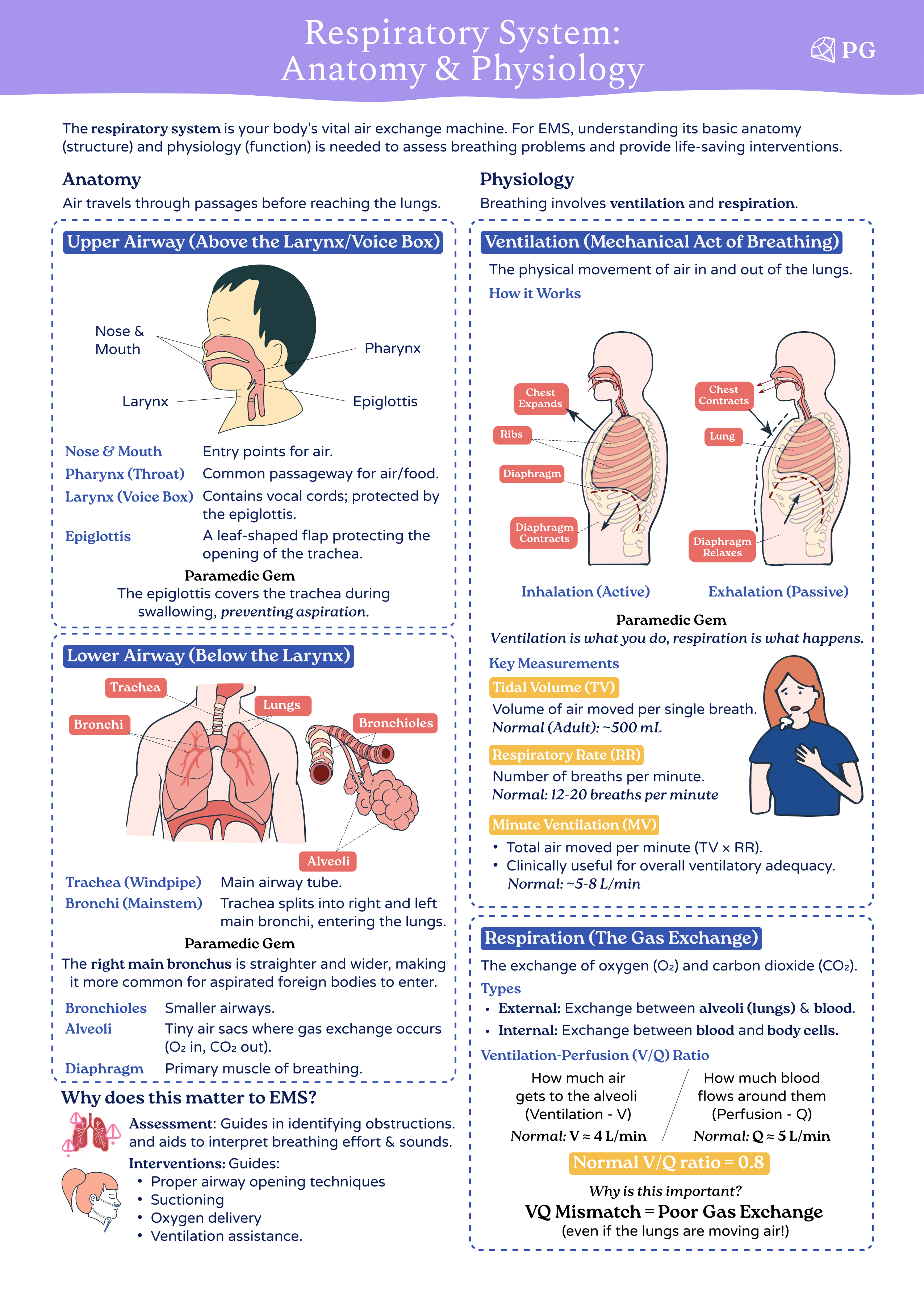 The Complete Paramedic & EMS Success Handbook