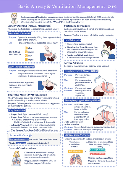 Airway, Respiration & Ventilation - Paramedic & EMS