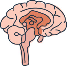 nursing gems nursing school notes